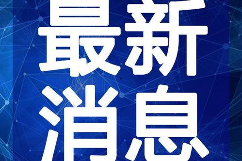 团山最新爆料新闻报道视频,揭秘神秘事件背后的真相