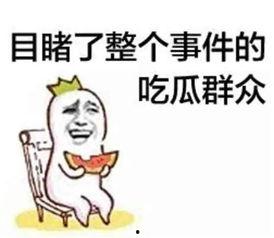 娱乐圈吃瓜文案搞笑图片