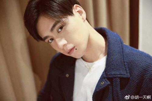 娱乐吃瓜酱高冷学长,高冷学长与娱乐吃瓜酱的甜蜜碰撞