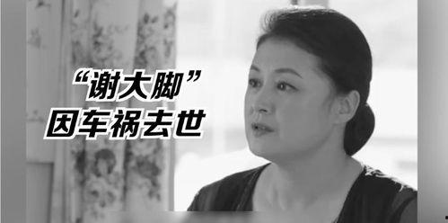 吃瓜娱乐圈的王子